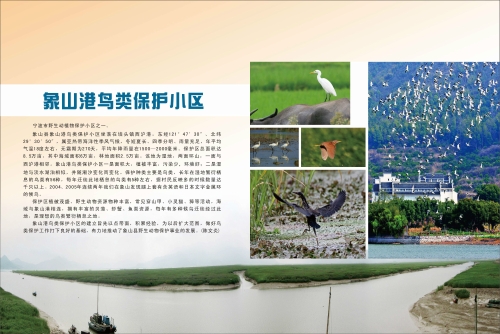 象山港鸟类保护小区.jpg