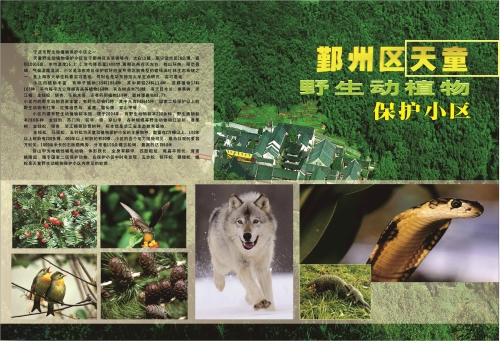 鄞州区天童野生动植物保护小区.jpg