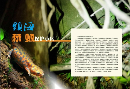 镇海棘螈保护小区.jpg
