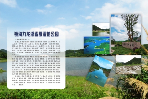 镇海九龙湖省级湿地公园.jpg
